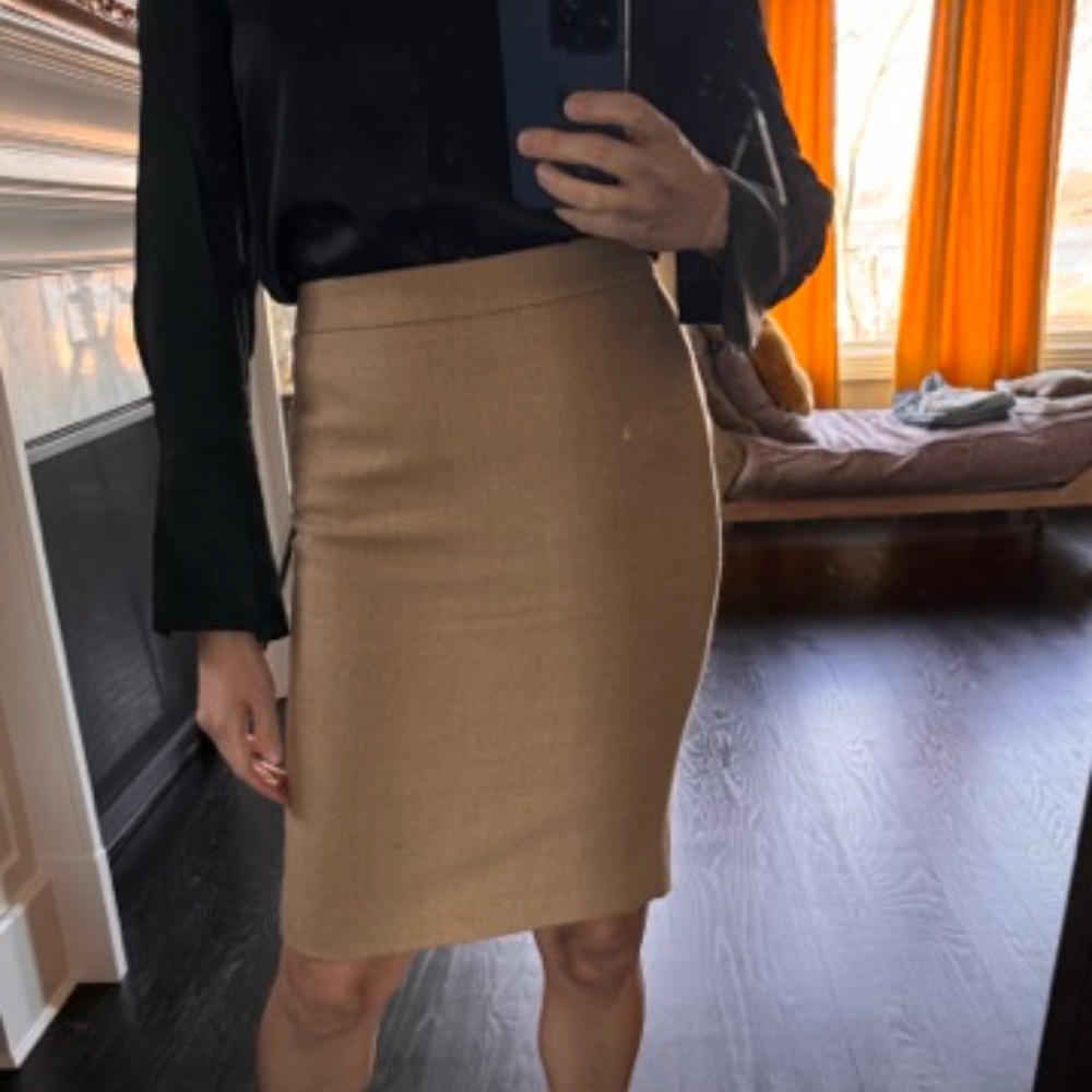 100% wool skirt by J Crew 0